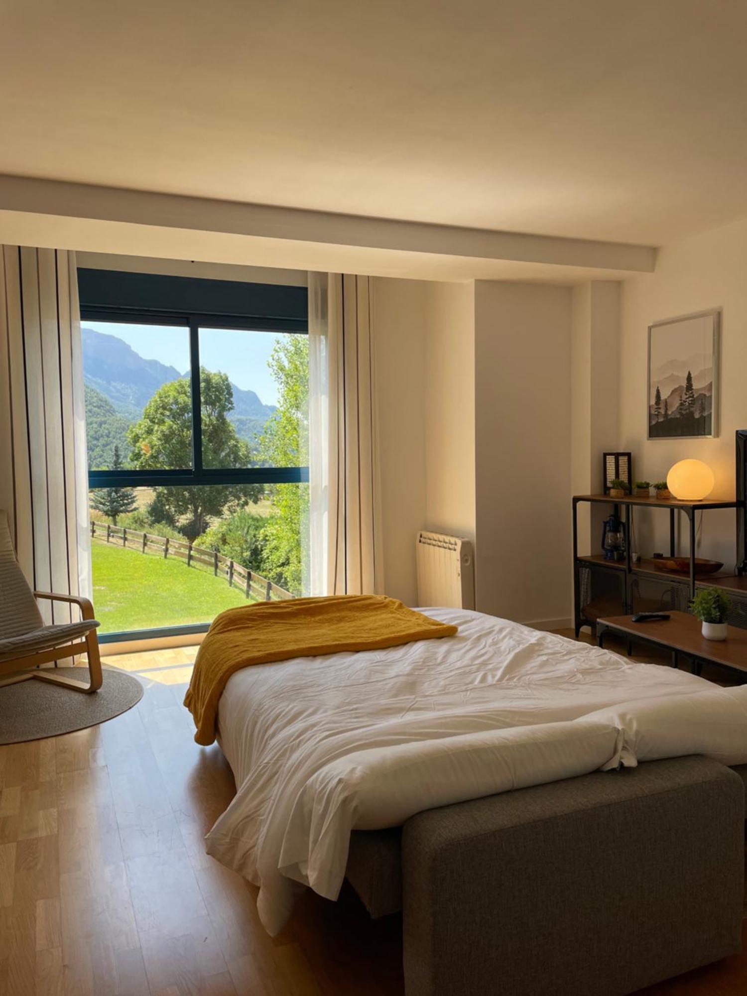 Ventanal De Saras Petfriendly Garaje Trastero Y Chimenea - Arafita Apartamentos Panticosa Eksteriør bilde